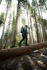 Exploring Yosemite