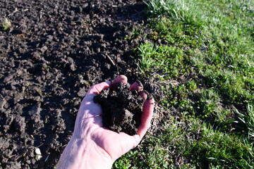 Canvas Print - garden soil