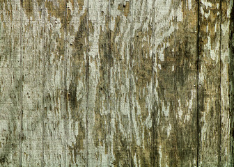 old wood texture