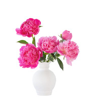Pink Peonies In Vase Isolated On White Background