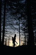 © anatoliy_gleb - Silhouettes of loving couple posing in evening forest. Wild nature with amazing views, summer sunset, guy holding girl. Nature, love, happyness concept.