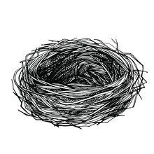 Sketch Hand Drawn Bird's Nest. Empty Nest Made Of Branches And Grass