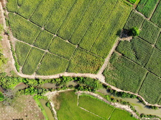 Aerial photography drone countryside agriculture and forest 