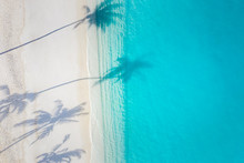 Aerial Beach Landscape. Minimalist Beach View From Drone Or Airplane, Palm Shadows In White Sand Near Blue Sea With Beautiful Ripples And Waves. Perfect Summer Beach Landscape Banner. Exotic Blue Sea