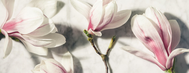 Wall Mural - beautiful pink magnolia flowers on white marble table. top view. flat lay. spring minimal concept.