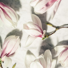 Wall Mural - beautiful pink magnolia flowers on white marble table. top view. flat lay. spring minimal concept.