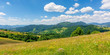 © Pellinni - summer scenery of mountainous countryside. alpine hay fields with wild herbs on rolling hills at high noon. forested mountain ridge in the distance beneath a blue sky with fluffy clouds. nature beauty