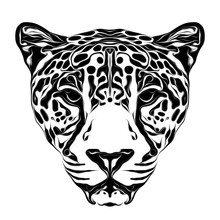 Leopard  Head With Creative Abstract Element On White Background