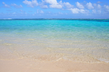 Canvas Print - the beautiful beach in guam