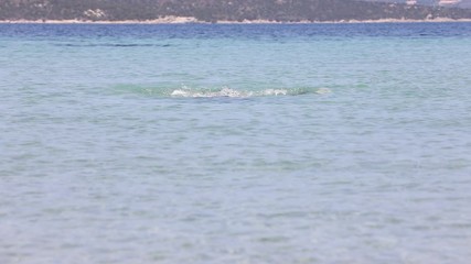 Wall Mural - Young man swimming in the sea (swimmer, triathlon)