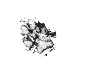 Dog dirty black track isolated on white background. Dog footprint