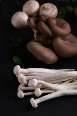 Poster - natural organic mushrooms for vegetarian food