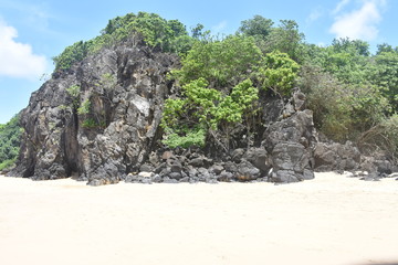 Canvas Print - f noronha