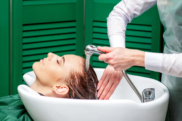 Wall Mural - Woman receiving washing hair.