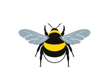 Bumblebee Logo. Isolated Bumblebee On White Background
