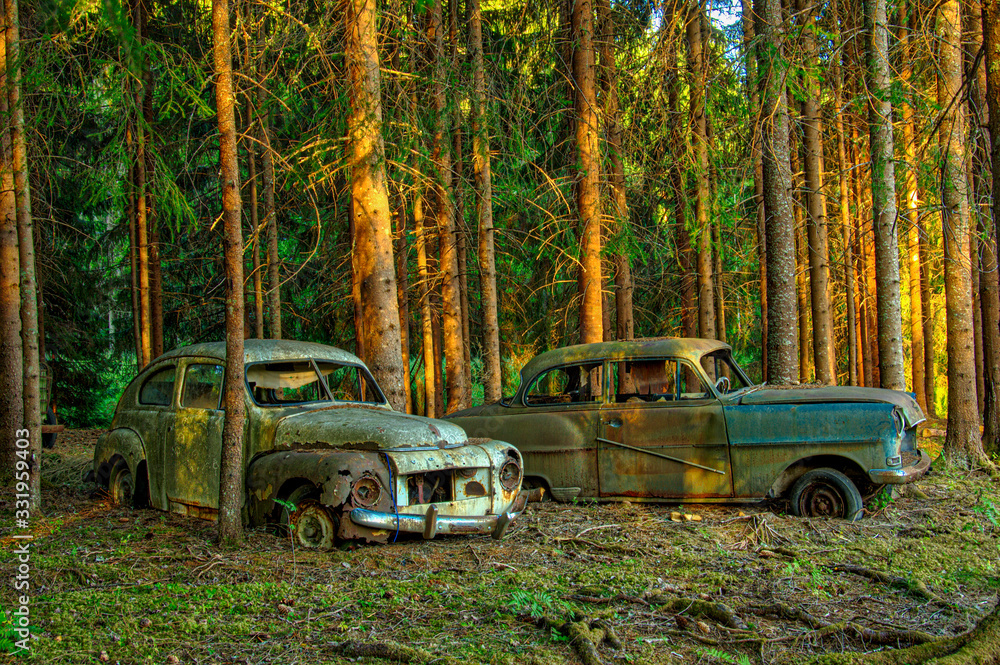 2 abandoned old rusty cars in the forest Stock Photo | Adobe Stock