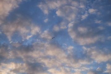 Canvas Print - Sky background on sunset. Nature abstract composition