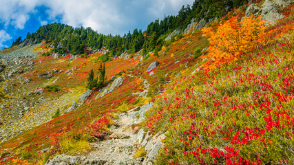 Autumn, Chain lakes trail, Mt Baker, Washington st