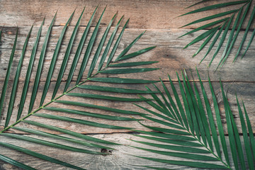 Wall Mural - Green tropical palm leaf on wooden planks background. Exotic branches over vintage texture. Top view, copy space