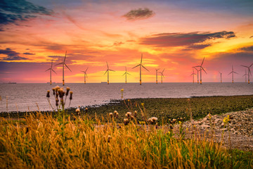 Poster - Offshore Wind Turbine in a Wind farm under construction off the England coast at sunset