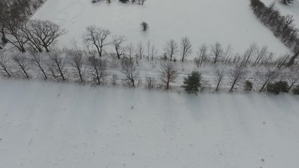 Wall Mural - Aerial view of snow covered landscape