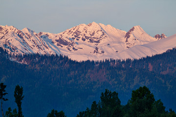 Wall Mural - early morning light on the snow covered mountains with forests in the foreground