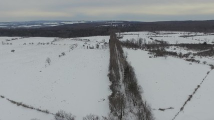 Wall Mural - Aerial view of rural road in winter