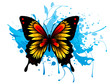 Vector illustration decorative butterfly with stain design