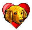 Dog with heart icon. Favorite pet. Adopt animal. Emblem for veterinary clinic