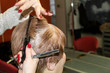 © Olha - In the hands of the hairdresser are scissors and a comb. She does a haircut to a woman with gray hair.