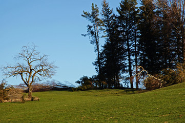  The lanscape aroung Heiden Switzerland