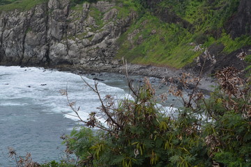 Canvas Print - f noronha