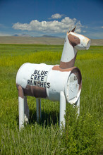 Horse Mailbox In Montana