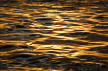Liquid Gold, Ripples At Sunset, Sydney Australia
