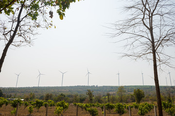 Windmills for electric power