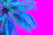 Bright Blue Holographic Neon Colored Palm Tree In Abstract Style On Pink Background. Night Club Beach Party Flyer Template. Retro Style Creative Summer Design Concept. Open Composition. Copy Space.
