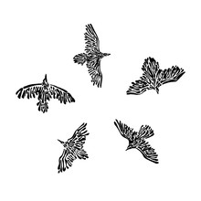 Hand Drawn Flying Wild Birds Drawn By Ink. Decorative Vector Illustration. Sketch Style Black Isolated On White Background