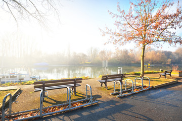 An empty alley through the park near Rhine river,l trees and benches close-up. No people because of travel ban and coronavirus (COVID-19) outbreak. Quarantine zone in Mainz, Rheinland-Pfalz, Germa