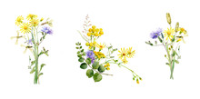 Watercolor Bouquets Of Blue And Yellow Wild Flowers