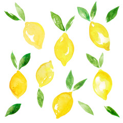 Watercolor illustration of citrus set. Yellow lemons with leaves.