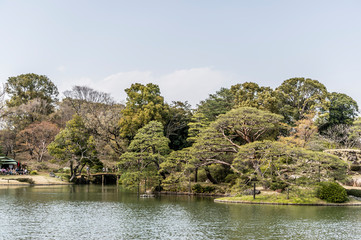 Wall Mural - 東京都文京区駒込の日本庭園の風景