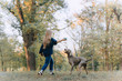woman playing with weimaraner dog in the park