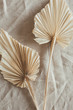 canvas print picture - Tan fan craft leaves on beige washed linen cloth. Flat lay, top view.