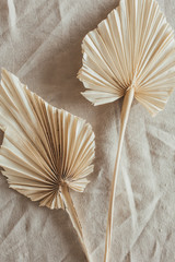 tan fan craft leaves on beige washed linen cloth. flat lay, top view.