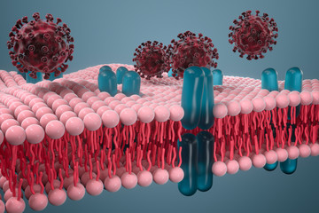 Sticker - Cell membrane and coronavirus, medical concept, 3d rendering.