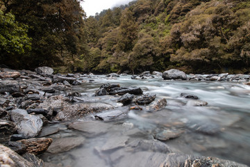 Sticker - river in forest