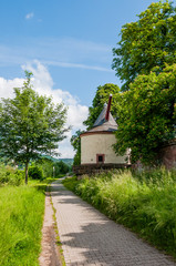 Trier, Mosel, Moselkran, Landkran, Fluss, Moselufer, Uferweg, Radtour, Spazierweg, Römerbrücke, Rheinland-Pfalz, Stadt, Altstadt, Sommer, Deutschland