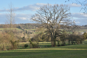 Pays d'Auge Normandie France