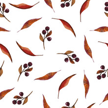 Seamless Watercolor Hand Drawn Pattern With Dark Elegant Autumn Fall Berries Berry And Dry Leaves Natural Organic Woodland Design With Wood Forest Botany In Red Brown Marsala Burgundy Ochre Colors