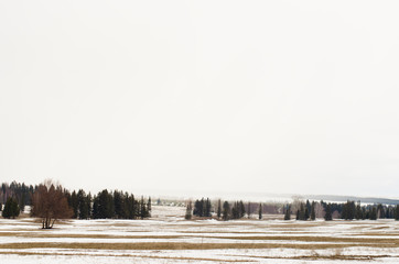 Sticker - Melting snow in field in early spring